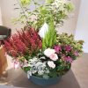 Composition de plantes – Image 7