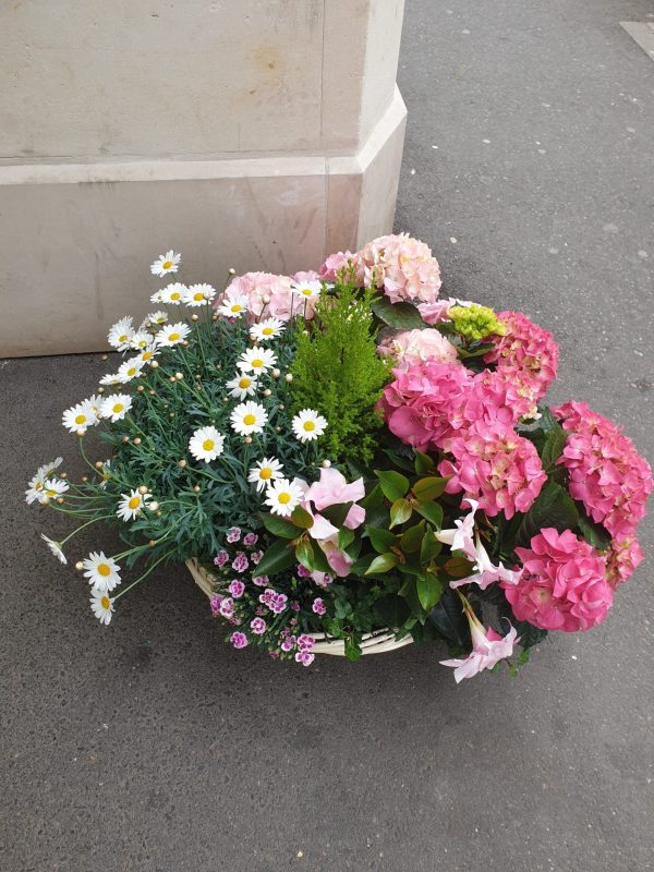Composition de plantes – Image 2