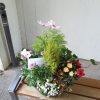 Composition de plantes – Image 3