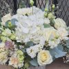 Blanc Pur – Image 5