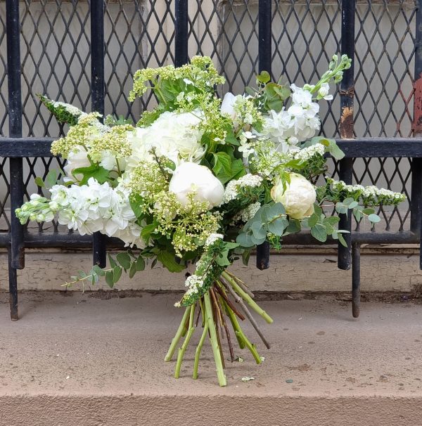 Blanc Pur – Image 4