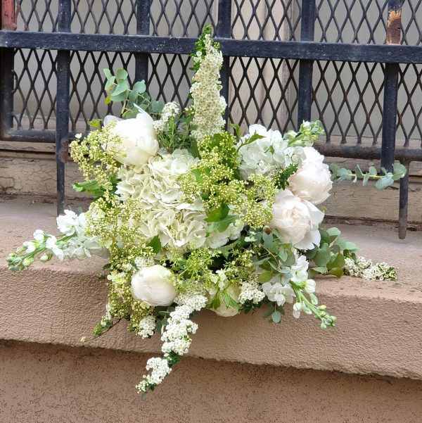 Blanc Pur – Image 3