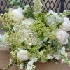 Blanc Pur – Image 2