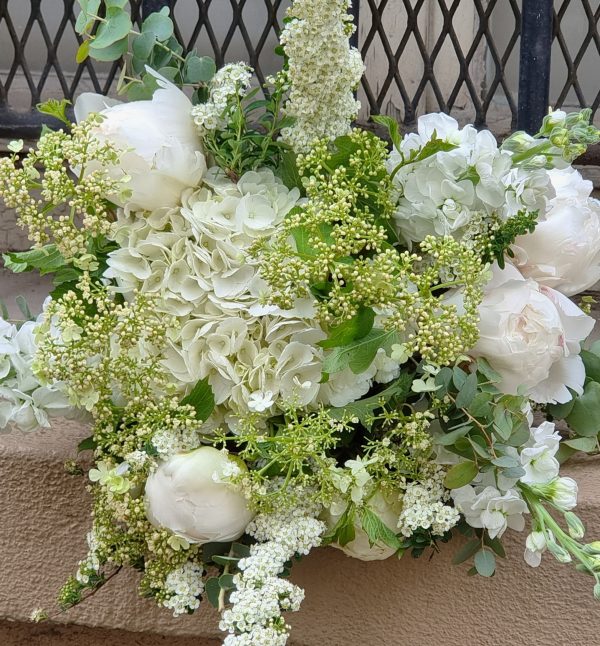 Blanc Pur – Image 2
