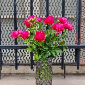 Bouquet de Pivoines