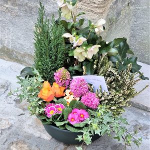 Composition de plantes