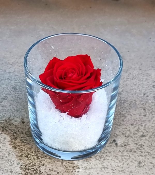 Rose Eternelle – Image 5