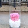 Rose Eternelle – Image 4