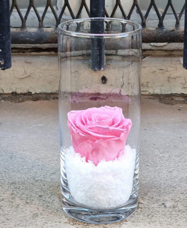 Rose Eternelle – Image 4